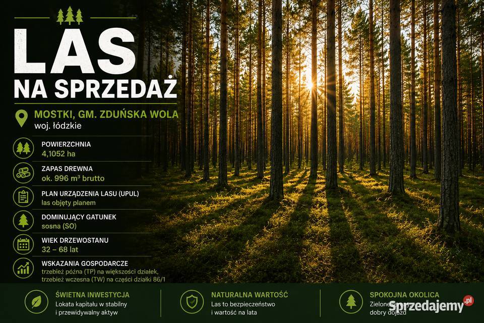 Sprzedam działki leśne 41ha Zduńska Wola Mostki