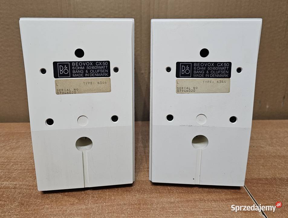 Kolumny BangOlufen CX50 Gorzów Wielkopolski