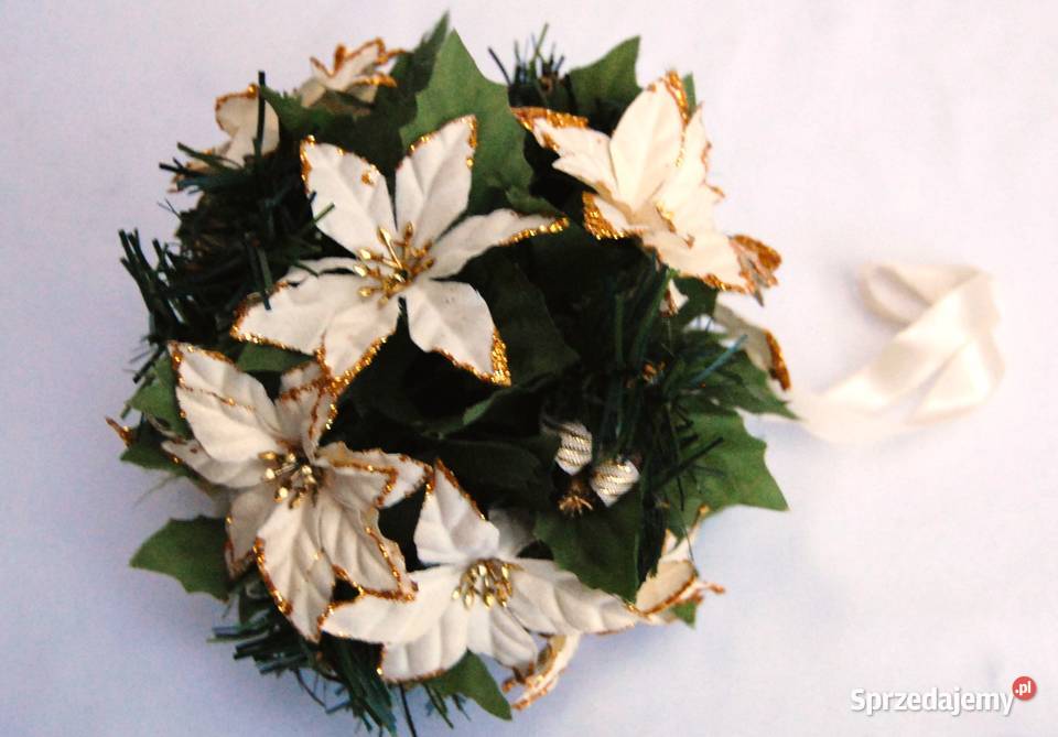 Kula roślinna biała gwiazda betlejemska Lublin