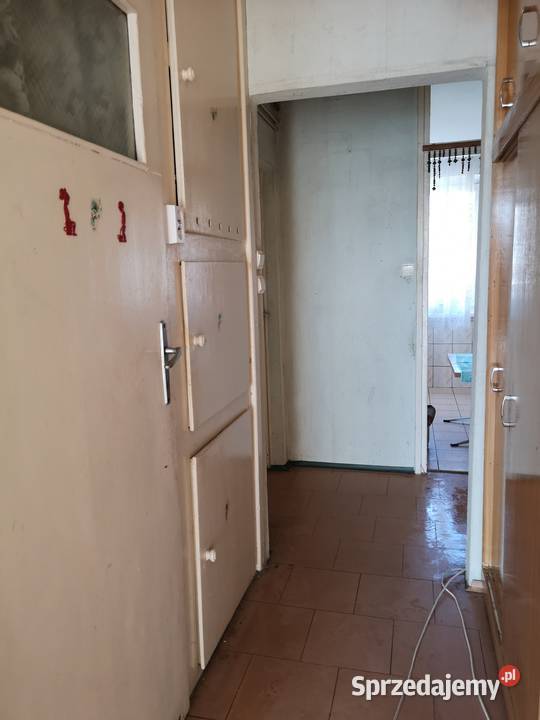 Sprzedam mieszkania bez pośredników Jastrzębie-Zdrój sprzedam