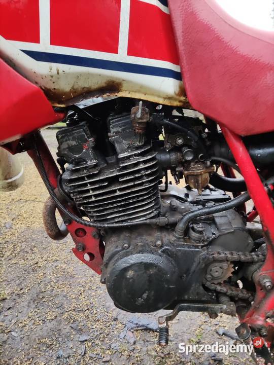 Yamaha XT 350 Bierzwnik