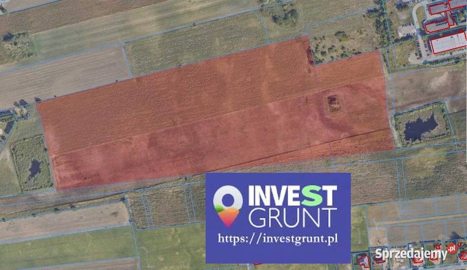 2036 ha przetarg na dzierżawę gruntów rolnych 203600m2 Radziejów