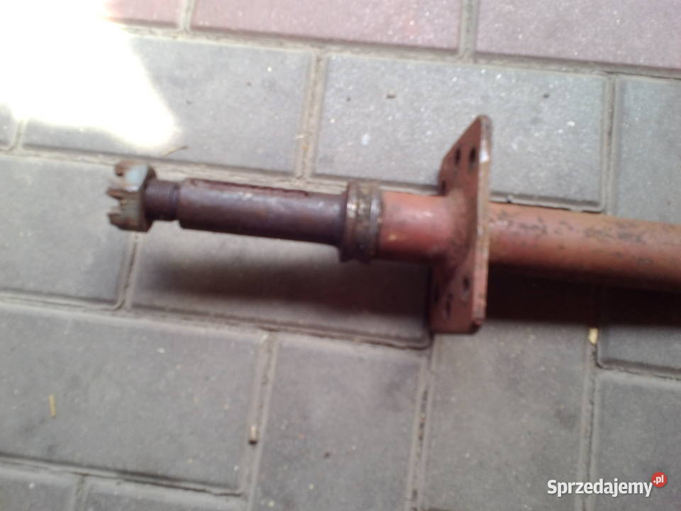 Bizon wałek ślimaka