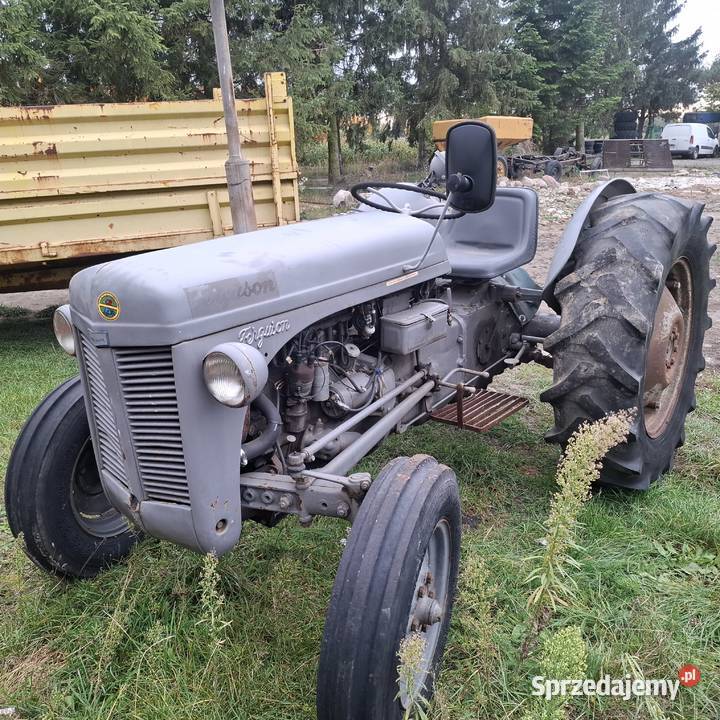 Ferguson Grabów nad Wisłą sprzedam