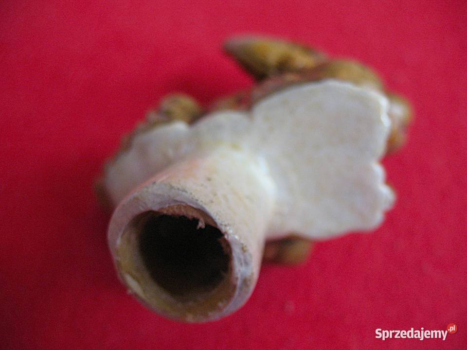 Zając 9 x 8 x 4 antyczny korek unikat brązowy Siedlce