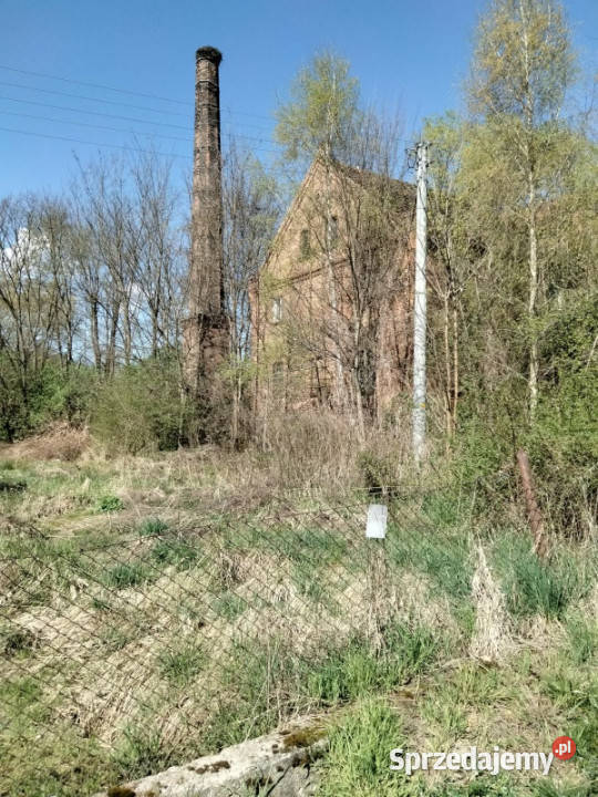 Gorzelnia w Łazach kamienica Sprzedaż dolnośląskie