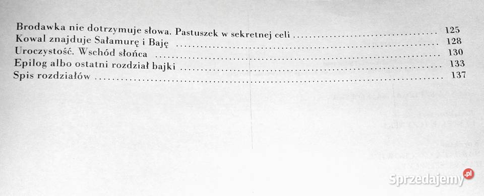 Przygody Sałamury Arczył Sułakauri Chełm sprzedam