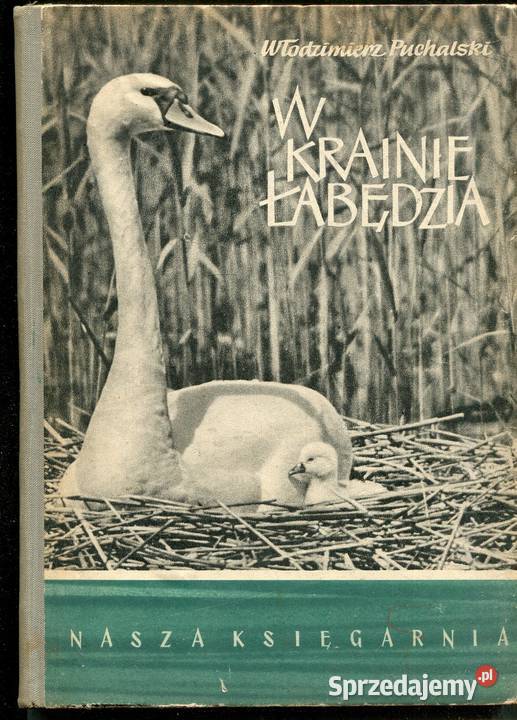W Krainie Łabędzia Puchalski zachodniopomorskie Szczecin