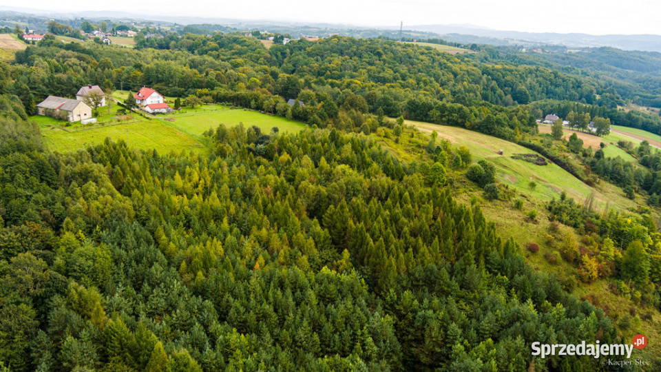 Na sprzedaż działka w Zalasowej Sprzedaż małopolskie Zalasowa