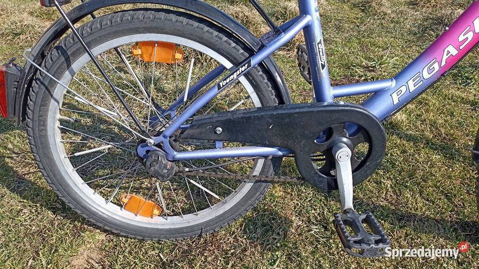 Rower dziewczynki Pegasus 20 Radzyń Podlaski
