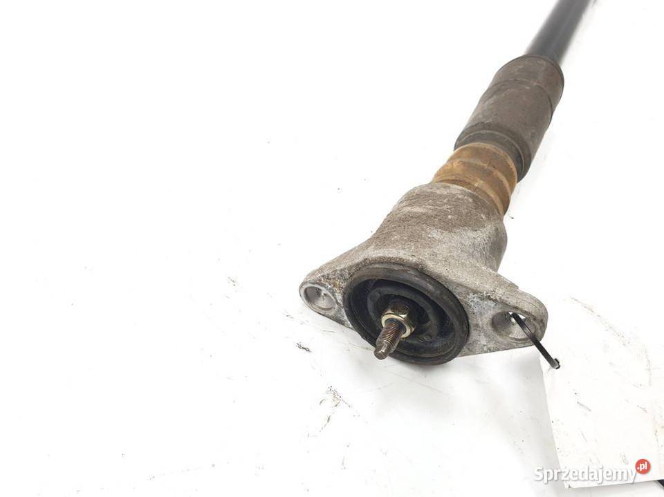 AMORTYZATOR PRAWY TYŁ VOLKSWAGEN PASSAT B5 kujawsko-pomorskie