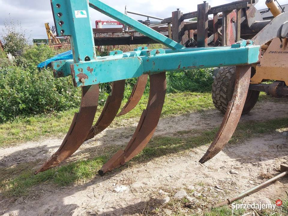 Głębosz nieuszkodzony łódzkie Piotrków Trybunalski