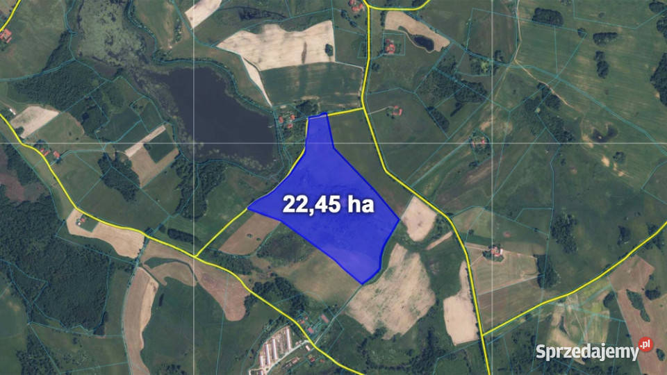 Działka z Warunkami Zabudowy 2245 ha Żabin gm sprzedam