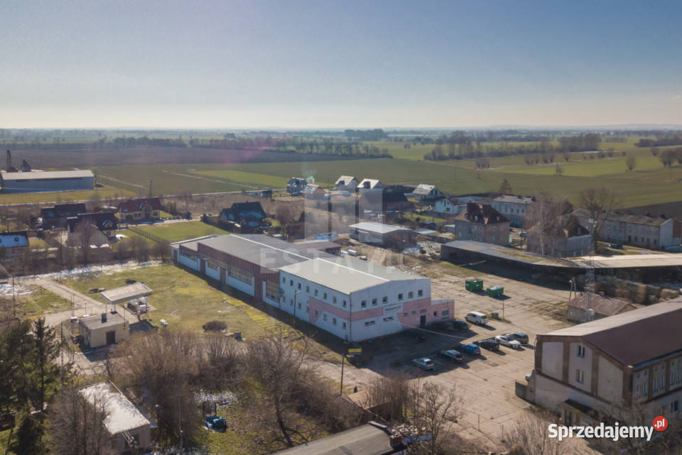 wynajmu lokalu 3000m2 Cedry Wielkie M