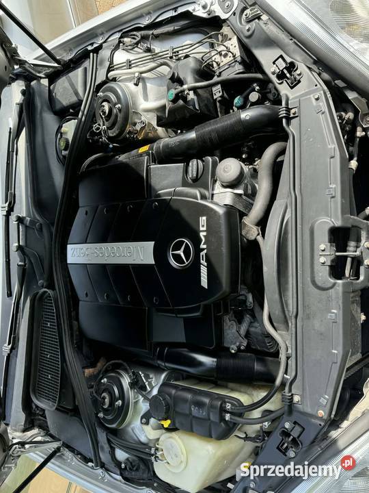 Mercedes Benz W220 s55 AMG Jastrzębie-Zdrój