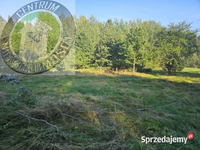 sprzedaży działki Mystków 9500m2 woda Sprzedaż sprzedam