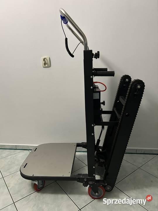 Schodolaz gąsienicowy Czyżowice