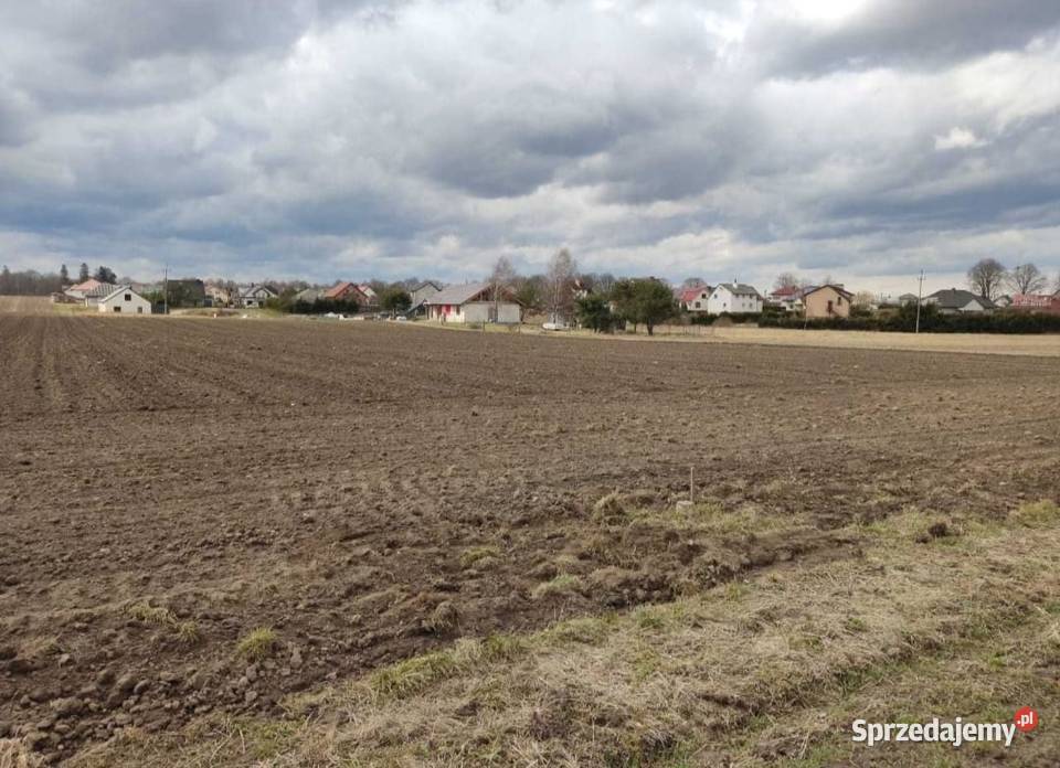 Sprzedam działki budowlane Kołczygłowy