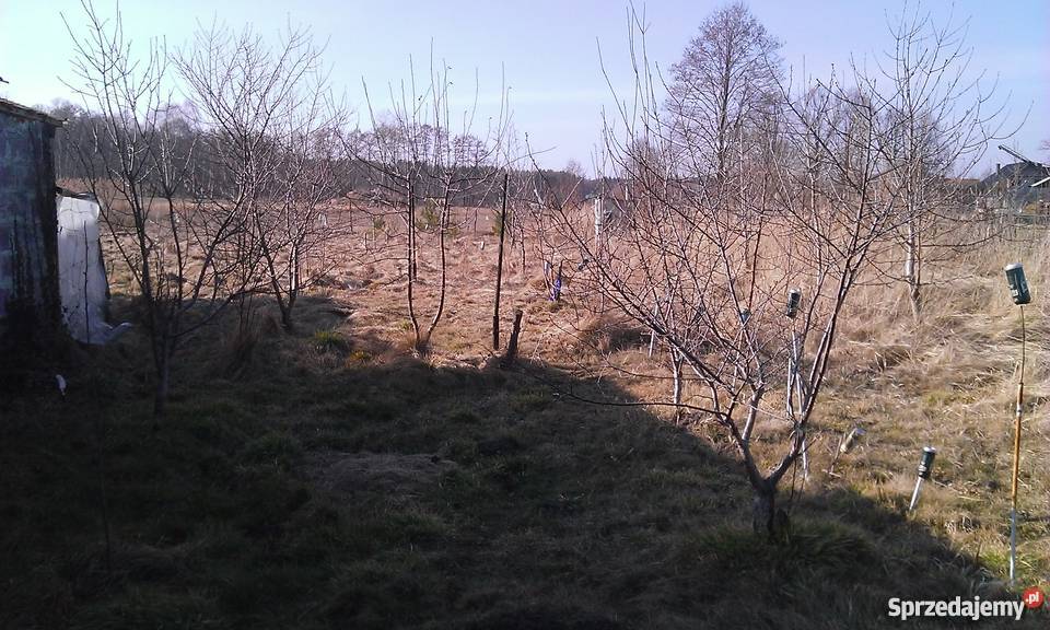 Dom plus Dzialka Poł HEKTARA garaż Kocina