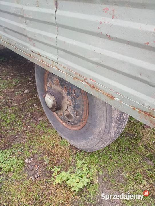 Przyczepa D50 Brzeg