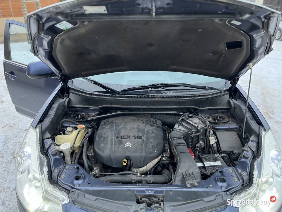 Citroen CCrosser 22HDi 156 4x4 Chajczyny