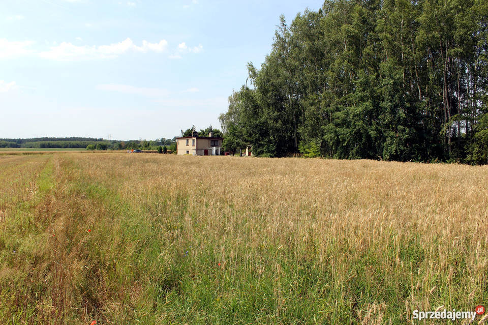Działki k Opola na sprzedaż zamianę na
