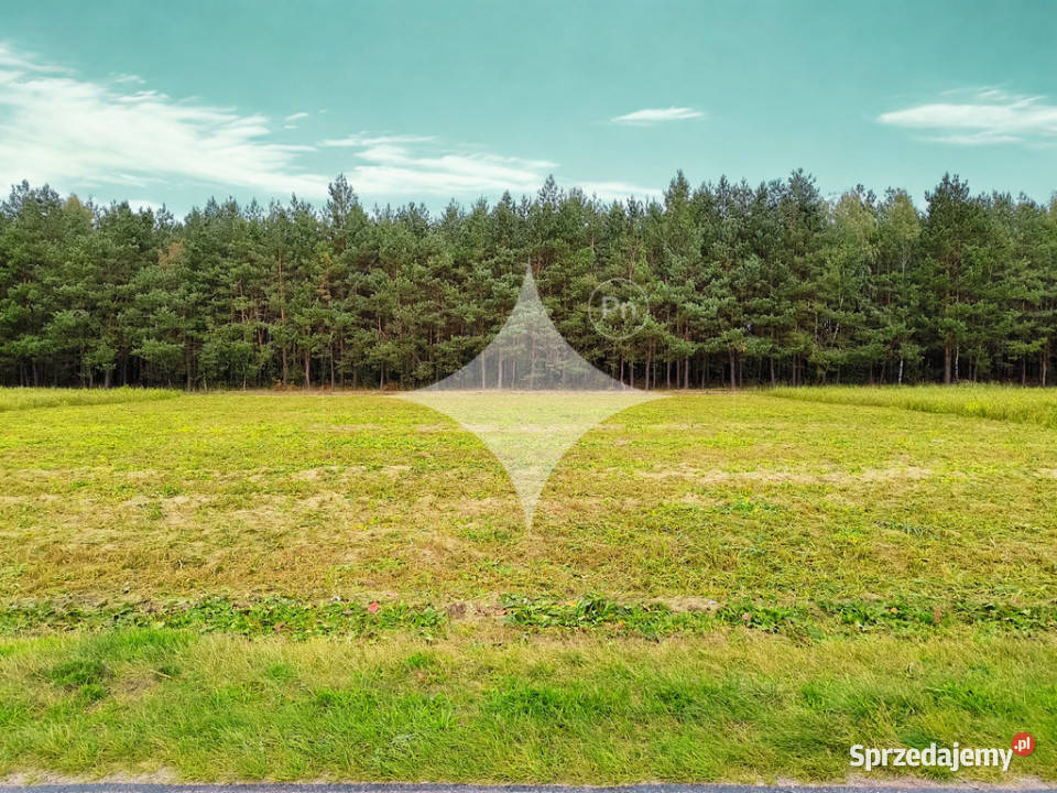 Działka budowlana w otoczeniu lasu