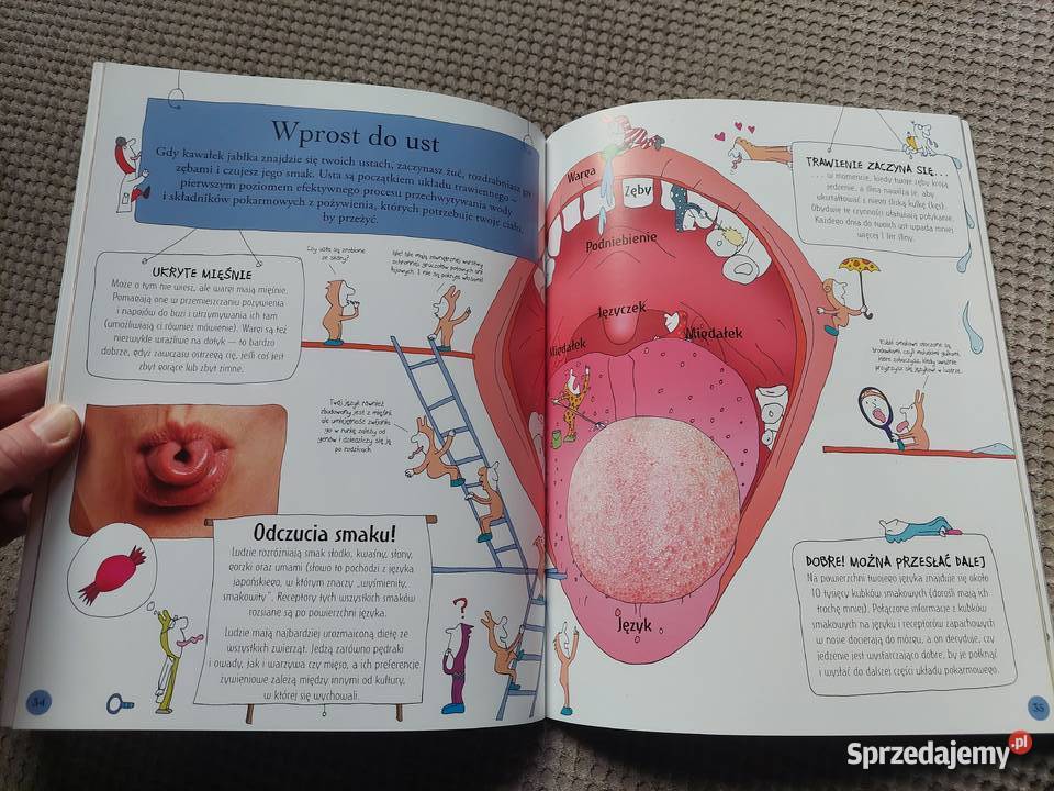 National Geographic Małe Mózgofalki poznają Kraków