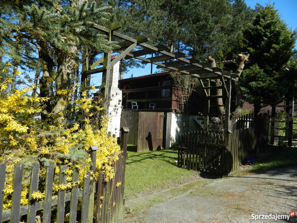 Borkowo domek letniskowy jeziorem 1522zł/m2