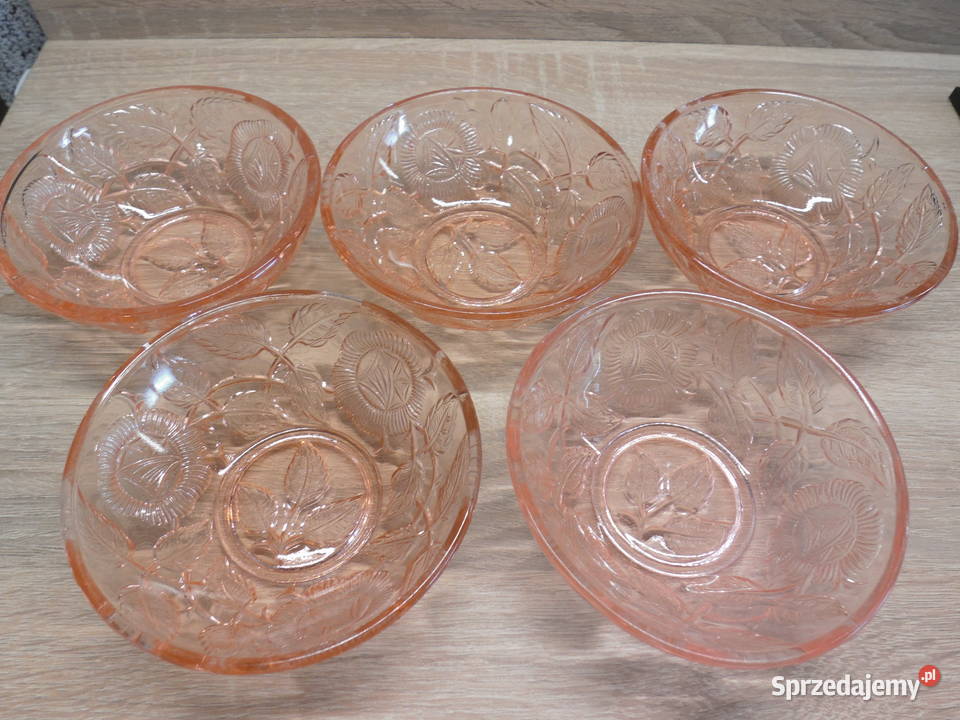 Szklane miseczkisalaterki łososiowe 5 Raszków