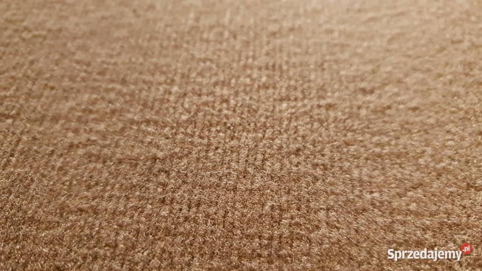 Szwajcarska wykładzina dywanowa szer 5m Miejsce Piastowe