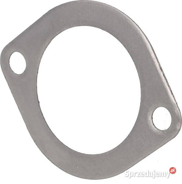 Uszczelka wylotu Hsg 820093