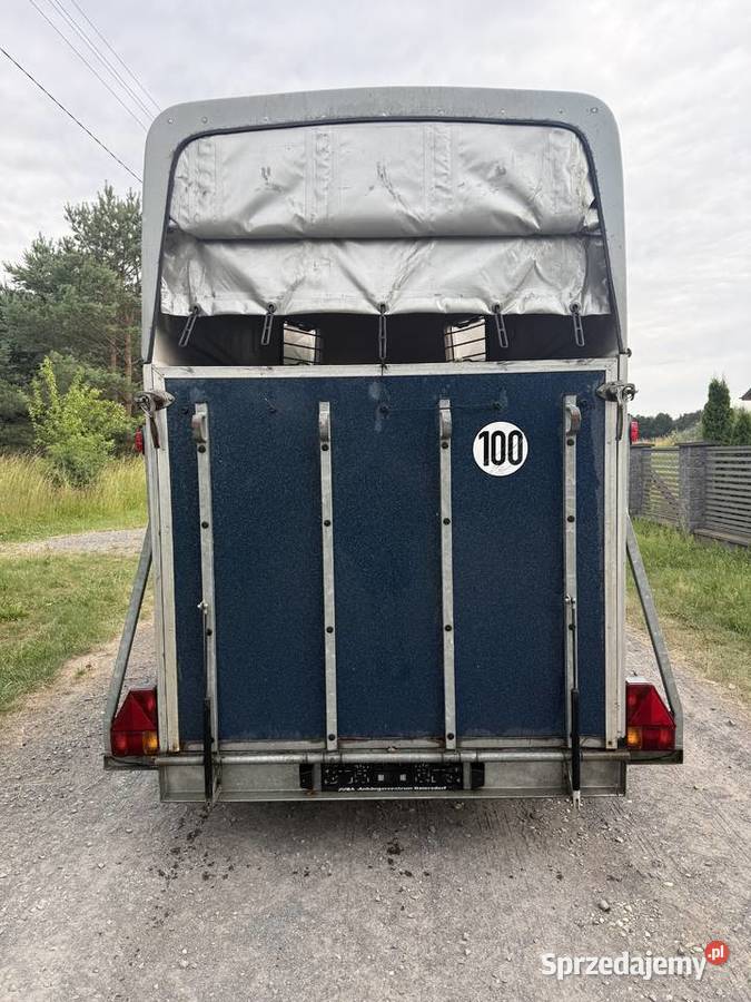 Przyczepa do transportu Koni 2005 zachodniopomorskie Nowogard