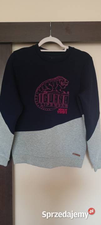 Bluza Iguana Terri Casual Line Martes Sport Strzyżów