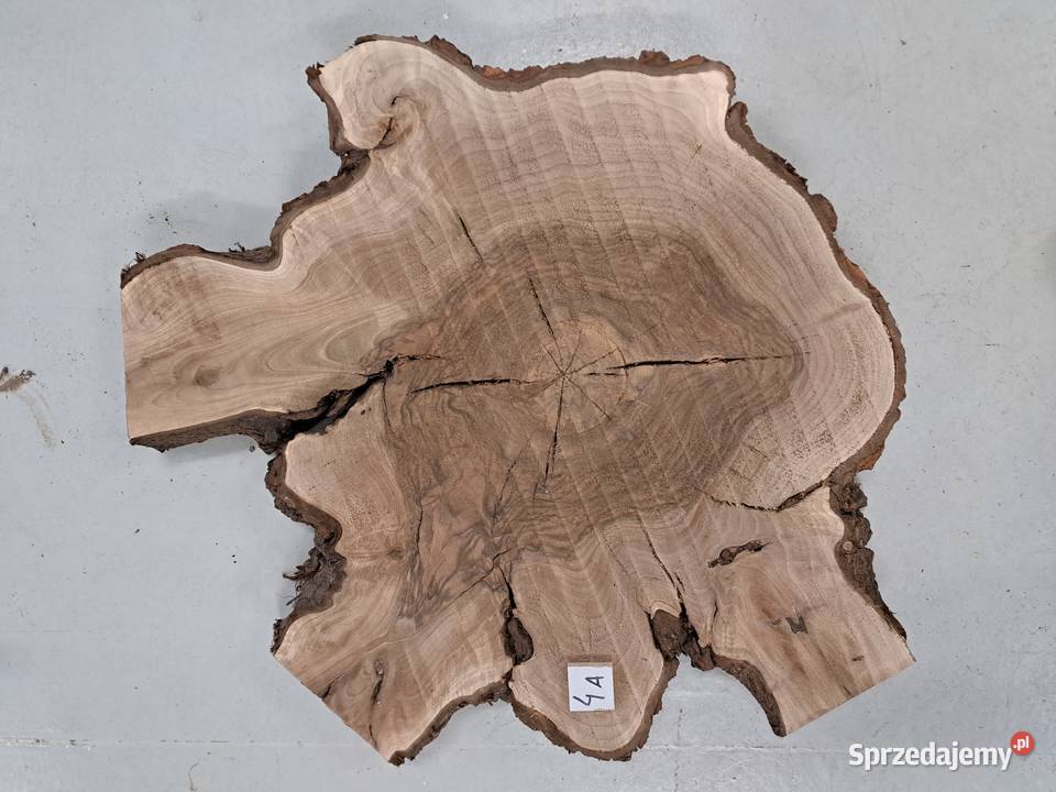 Plastry Orzech Korzeń suche Kalinówka