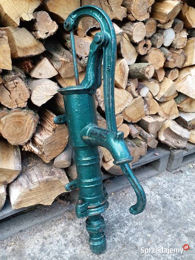 Pięknaduża pompa abisynka Gorzów Wielkopolski