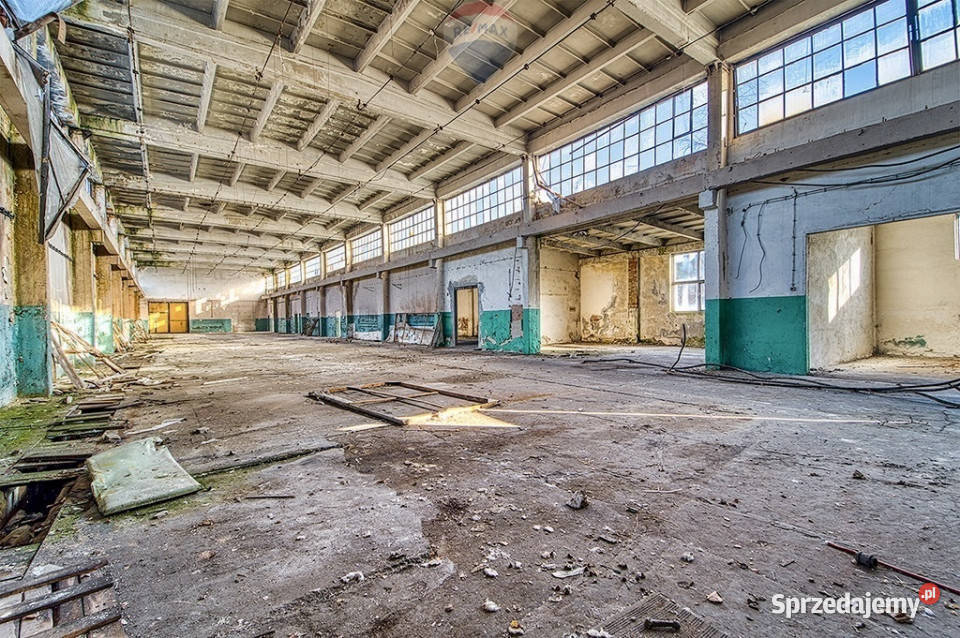 Duża działka w sercu Gubina granicy DE Gubin