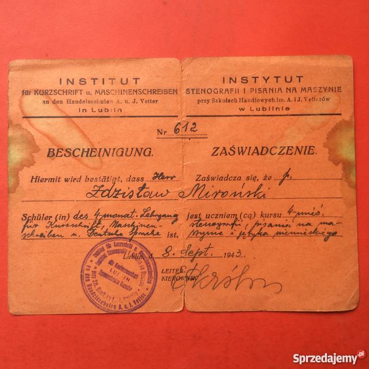 731 Zaświadczenie Instytutu Stenografii Szczecin sprzedam