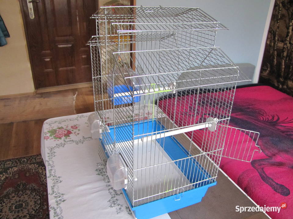 Klatka ptaków Toruń