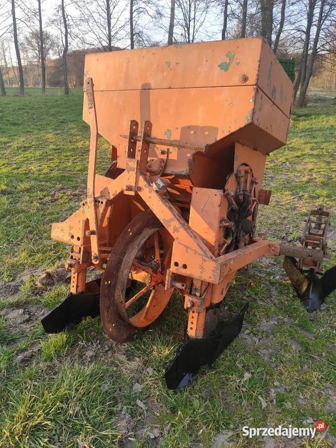 Sadzarka ziemniaków