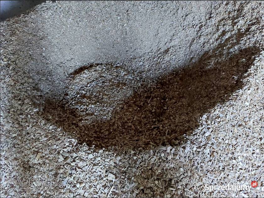 TANIE GRZANIE Zrębka Trociny Pellet i inne Kożuchów