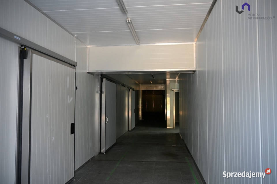 Lokal Ruda Śląska 1056m2 3509zł/m2