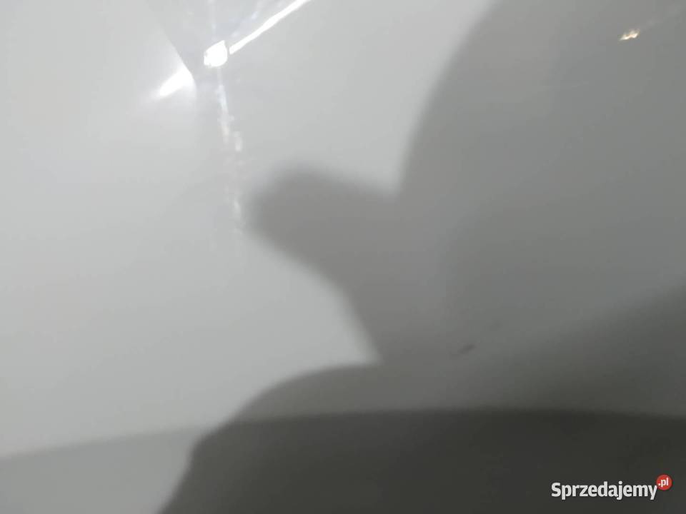 BŁOTNIK LEWY PRZÓD BIAŁY Skoda Scala I 2019 Rok produkcji 2021 świętokrzyskie