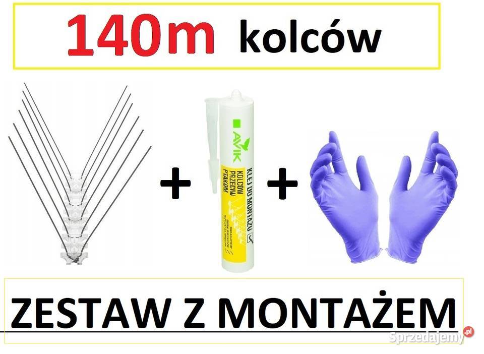 140m kolców na GOŁĘBIE gotowy ZESTAW z montażem !!