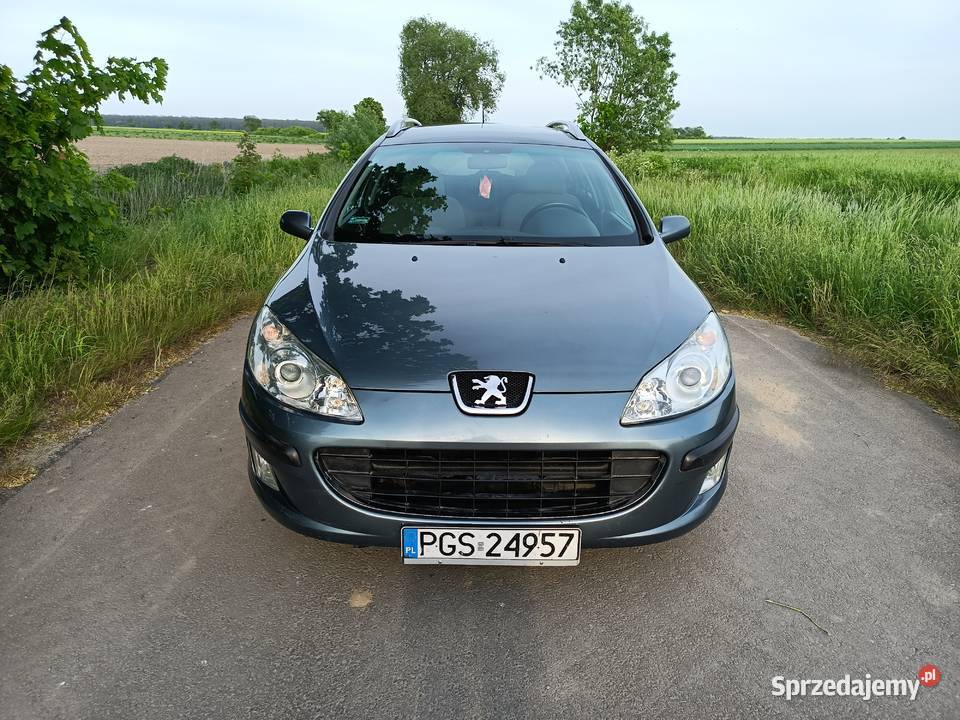 Peugeot 407 SW 20HDI 136 2005 nieuszkodzony Krotoszyn