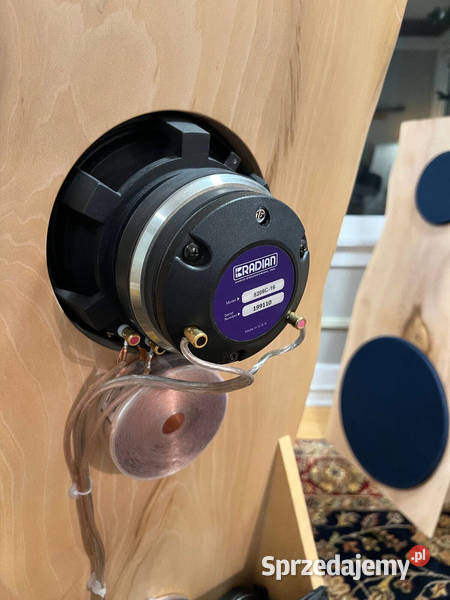 Open Baffle Live Edge Dipole Speakers with Pomieczyńska Huta