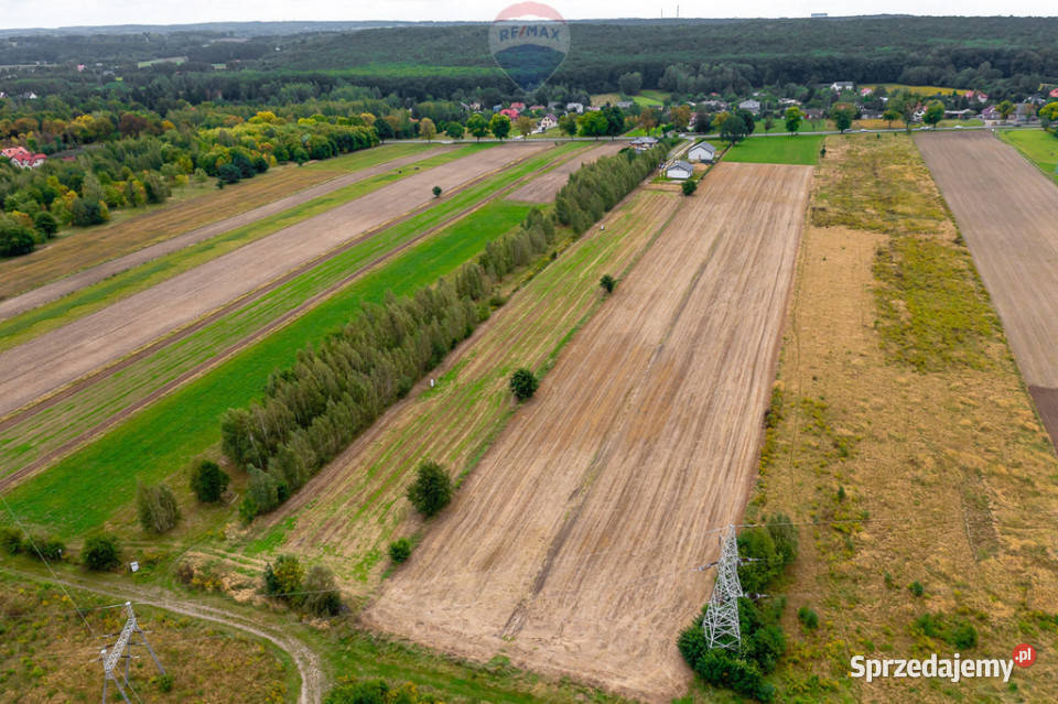 Spokojna działka 1400 m Skotniki Media WZ