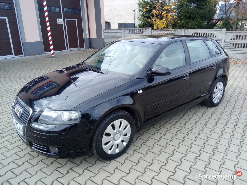 Audi A3 8P 19 TDI 105 Super Stan Zadbana ESP