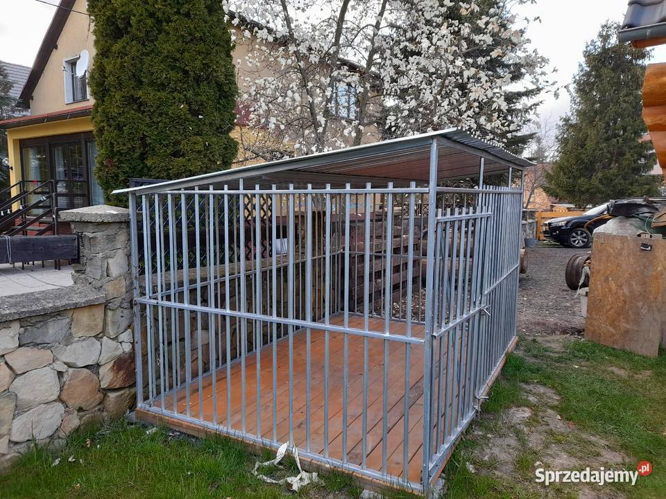 Kojec psa Dostępny ręki Olszyna