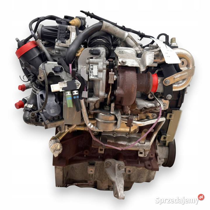 SILNIK K9K646 Nissan Juke F15 NV200 Qashqai II Chełm